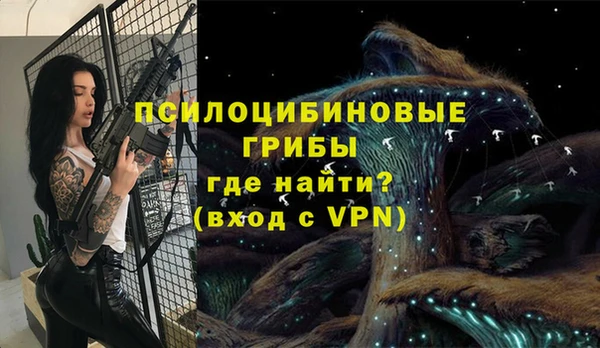 стафф Богданович