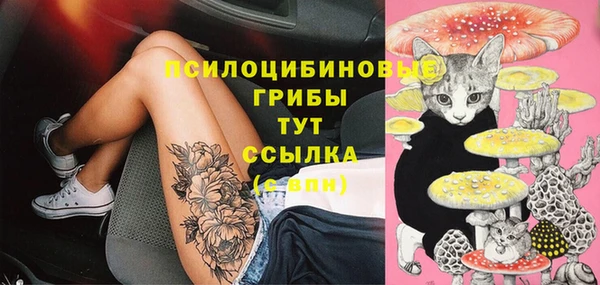 гидра Белокуриха