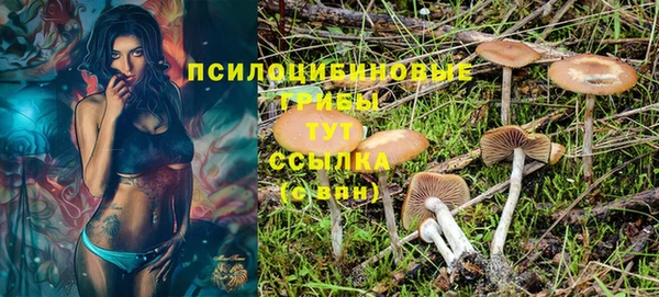 стафф Богданович