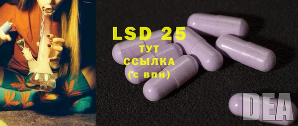 гидра Белокуриха