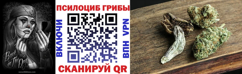 Псилоцибиновые грибы Magic Shrooms  маркетплейс состав  Буйнакск 