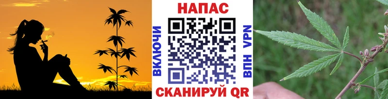 Бошки марихуана White Widow  мега ССЫЛКА  Буйнакск  купить наркоту 